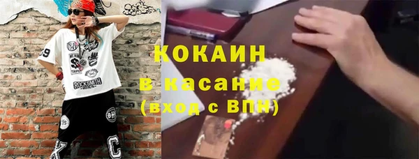 мдпв Богородск