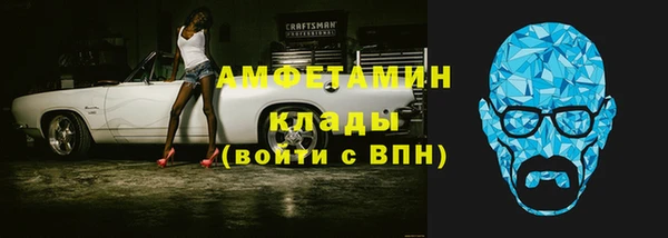 индика Богородицк