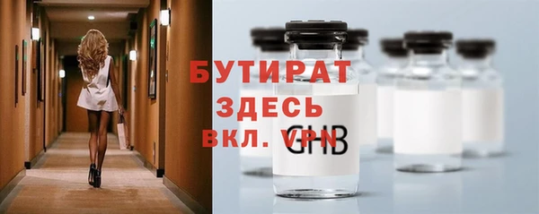 индика Богородицк