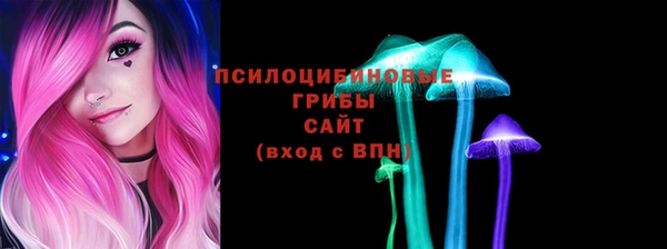 индика Богородицк