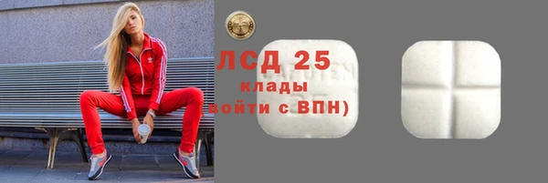 ешки Бородино