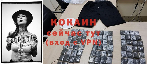 спиды Богданович