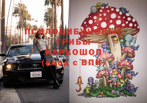 спиды Богданович