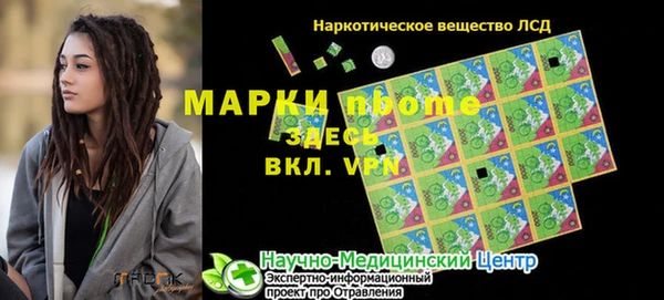 ешки Бородино