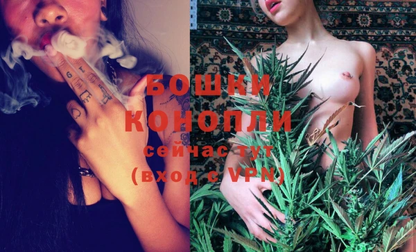 шишки Бронницы
