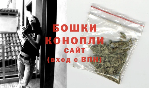 индика Богородицк